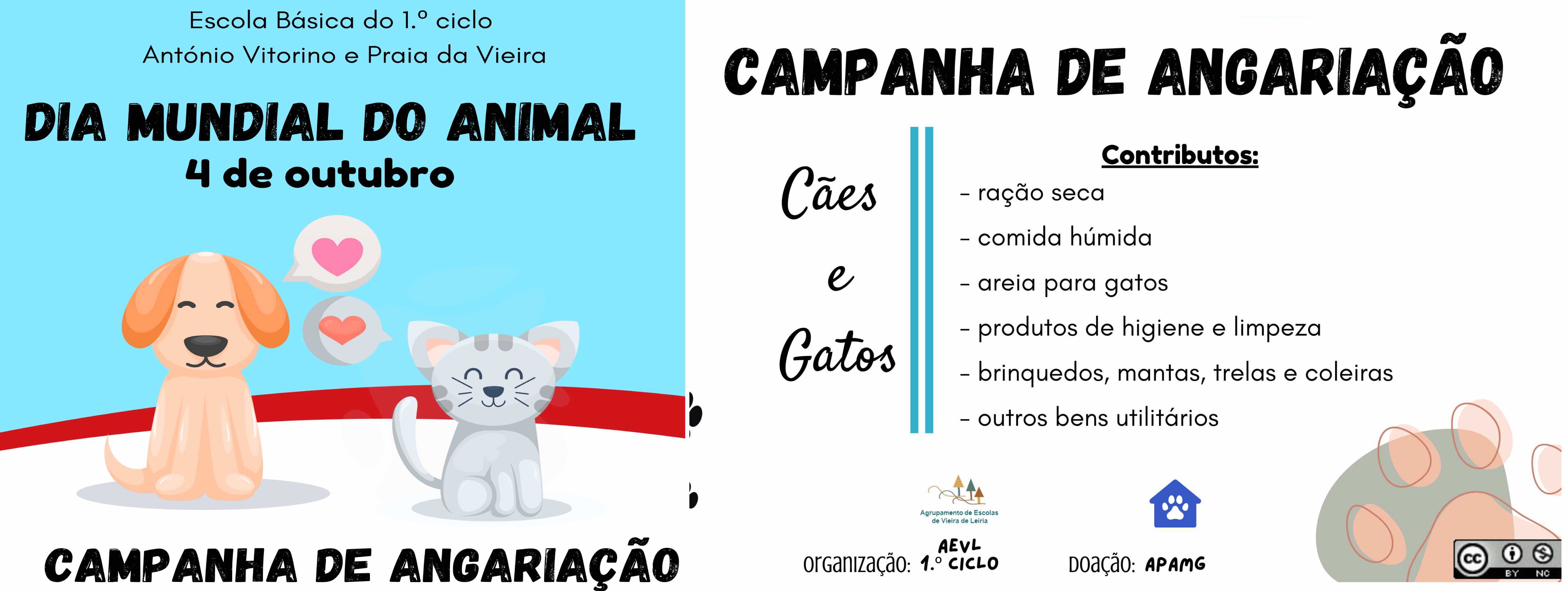 Dia Mundial 3