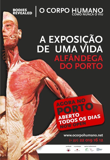 o corpo humano