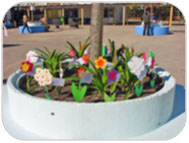 flores e poesia