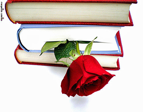 dia mundial do livro e dos direitos de autor