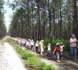 passeio