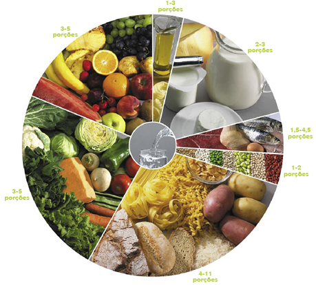dia alimentacao