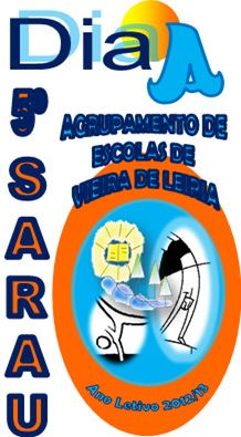 sarau_2013