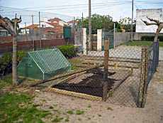 horta